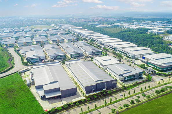 Escolha Co., Ltd